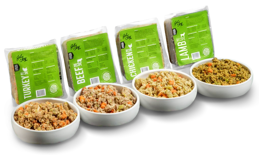 Fresh food dog online