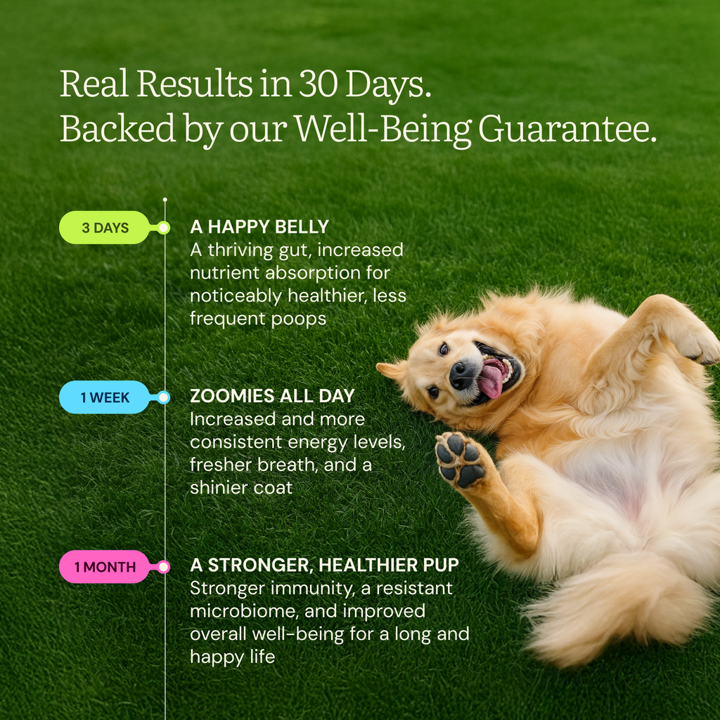 Freeze Dried Raw Meals