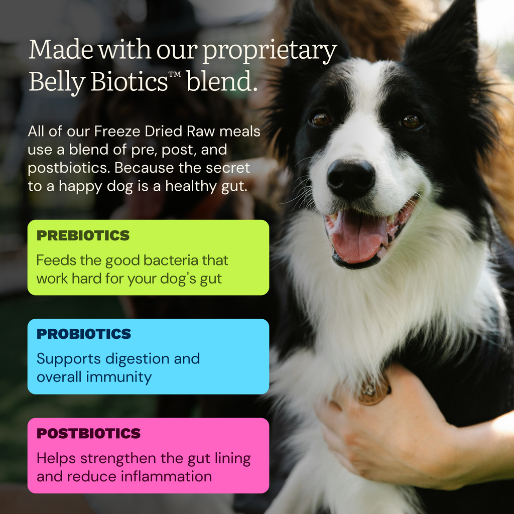 Freeze Dried Raw Meals