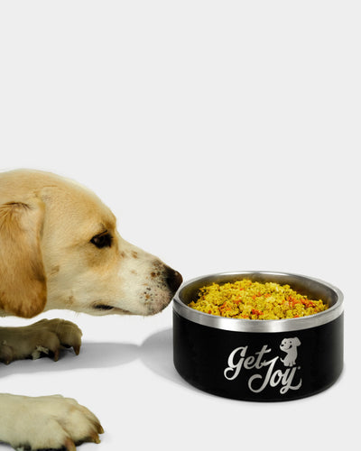 Dog Bowl