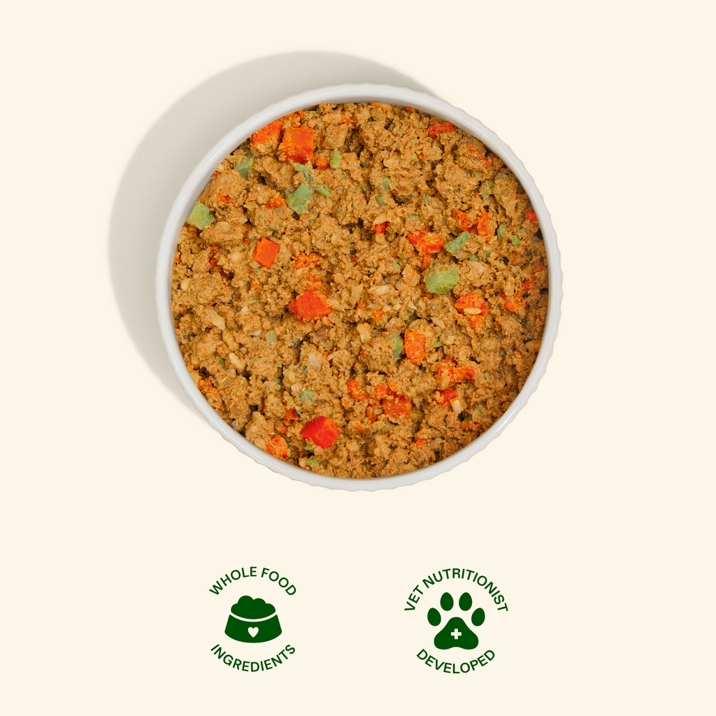 Get Joy dog food with a happy dog