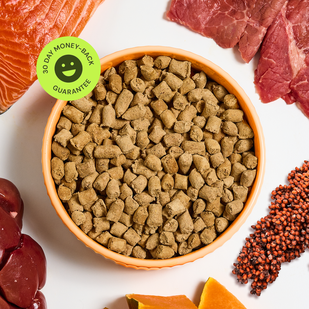 Get Joy Freeze-Dried Raw Beef with whole-food ingredients — 30-day money-back guarantee | 