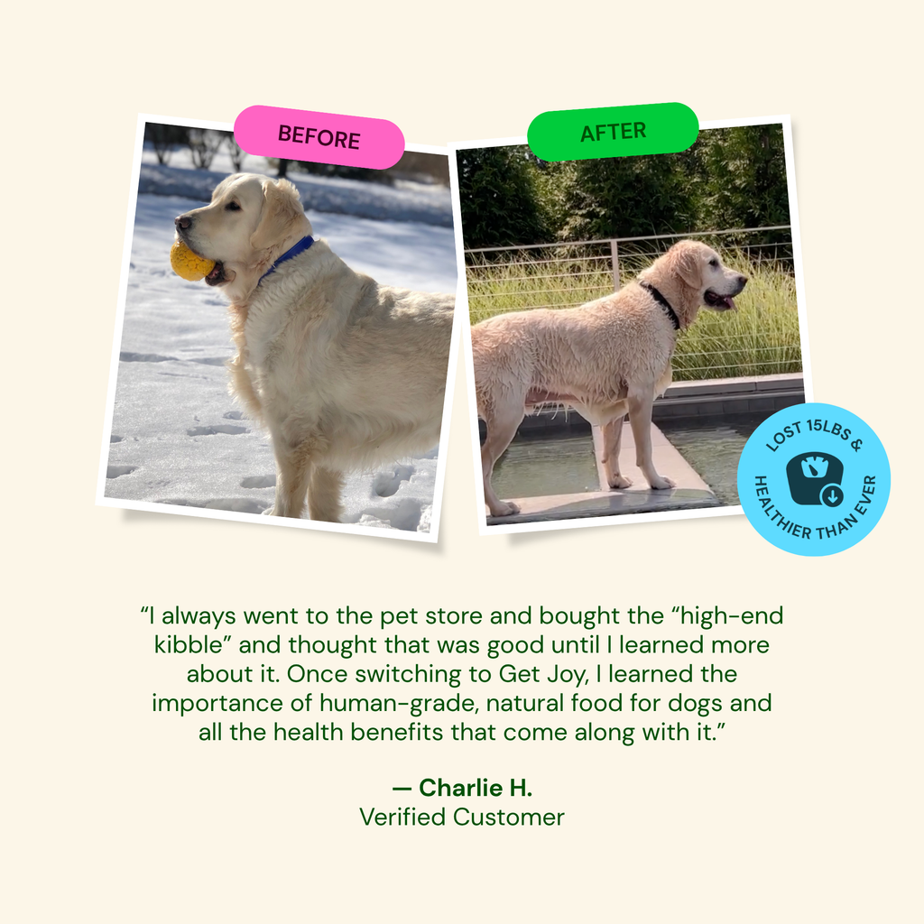 Get Joy before & after — dog healthier after switching to Freeze-Dried Raw