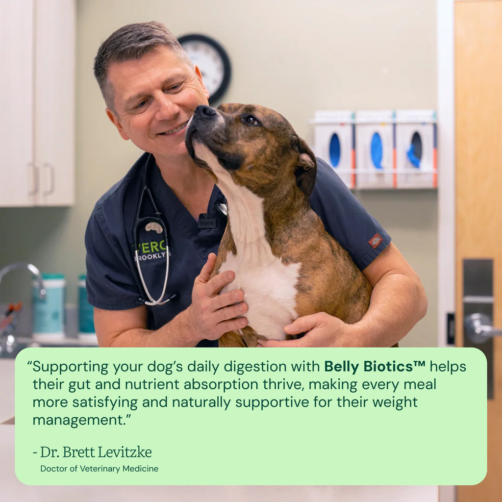 Dr. Brett Levitzke, DVM on supporting daily digestion with Belly Biotics