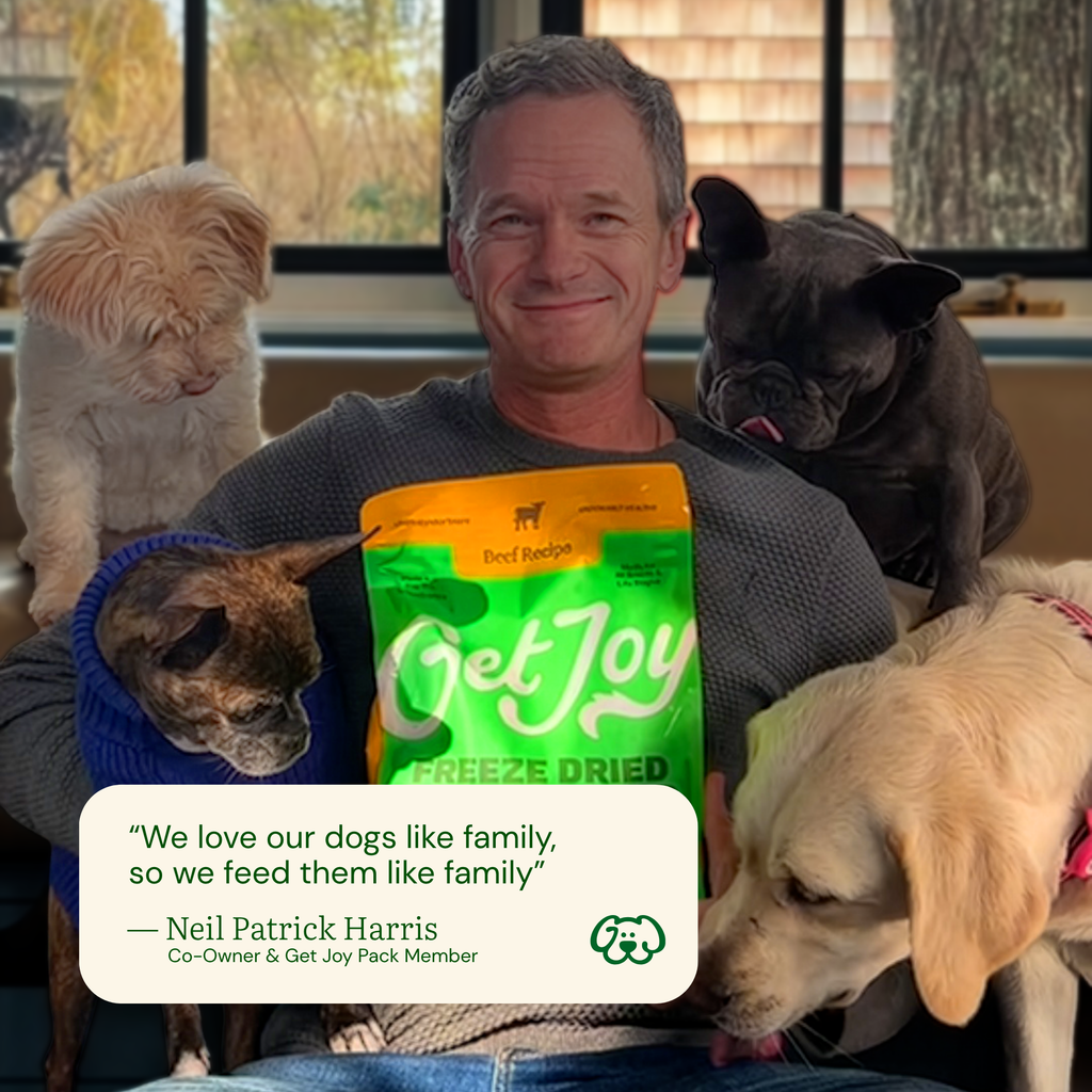 Neil Patrick Harris, Get Joy co-owner — we feed our dogs like family