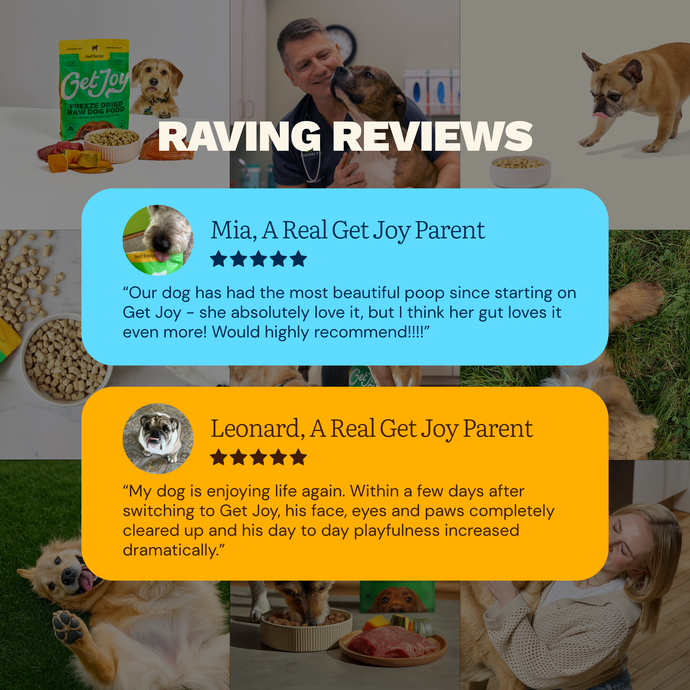 Raving reviews from real Get Joy dog parents