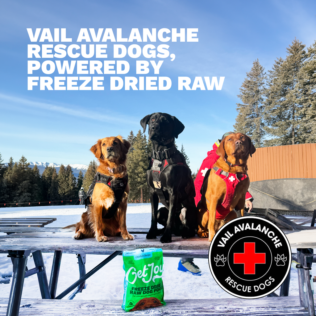 Vail Avalanche Rescue Dogs powered by Get Joy Freeze-Dried Raw