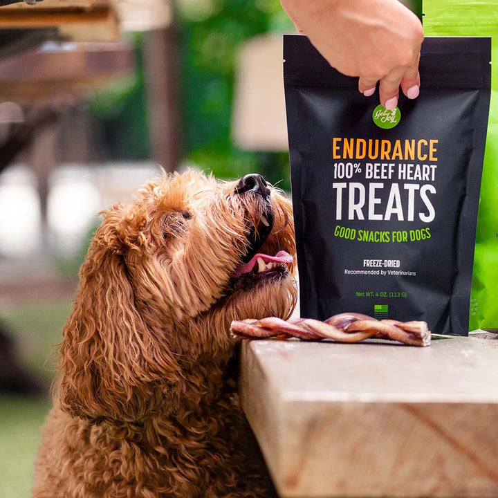 Get Joy Gut Friendly Dog Treats & Chews