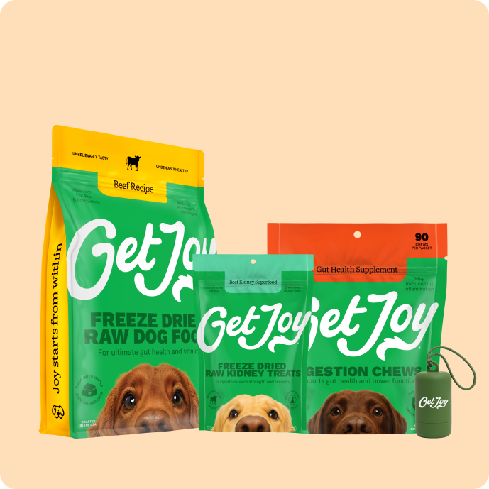 Gut Support Bundle