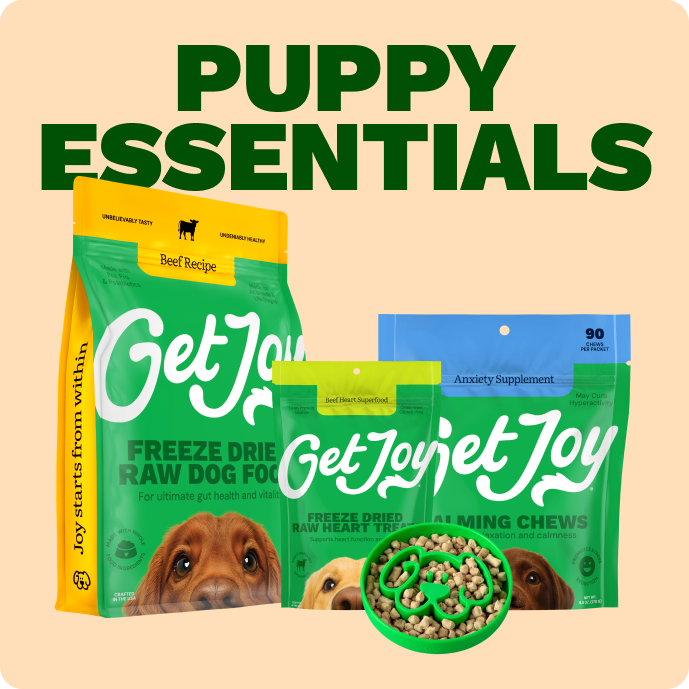 Get Joy Puppy Essentials Bundle — Beef Freeze-Dried Raw Meals and Superfood Treats | 