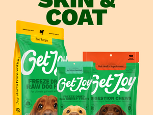 Skin & Coat