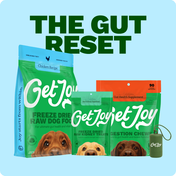Get Joy Gut Support Bundle — Chicken Freeze-Dried Raw Meals and Digestion Chews | 