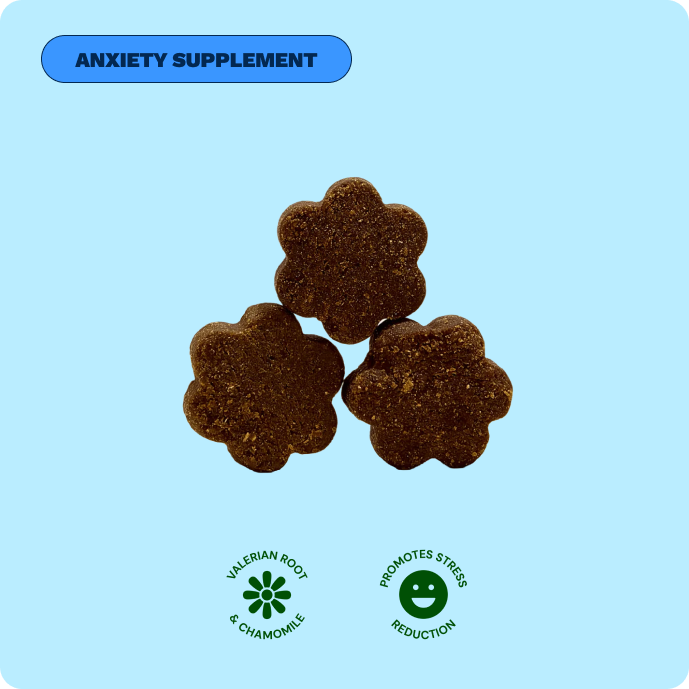 Get Joy Calming Chews anxiety supplement — included in Calm Support Bundle | 