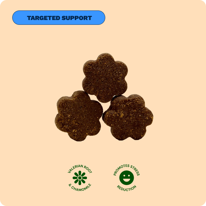 Get Joy Calming Chews anxiety supplement — included in Calm Support Bundle | 