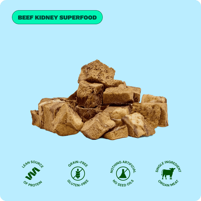 Get Joy Beef Kidney Superfood Treats — included in Gut Support Bundle | 