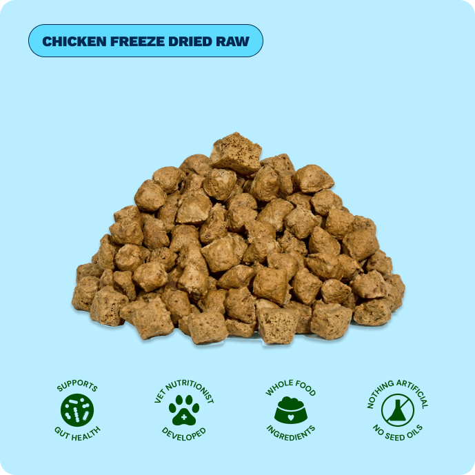 Get Joy Chicken Freeze-Dried Raw Meals — included in Calm Support Bundle | 
