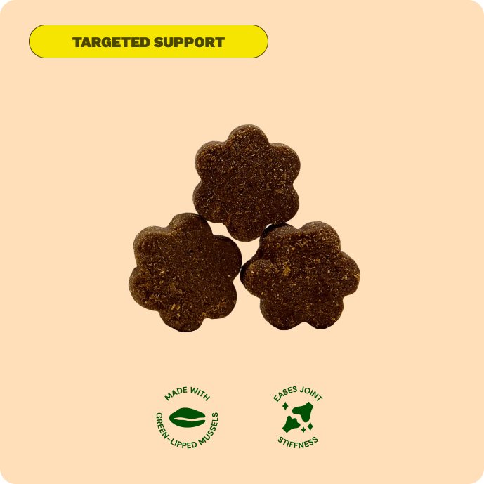 Get Joy Mobility Chews joint supplement — included in Senior Essentials Bundle | 