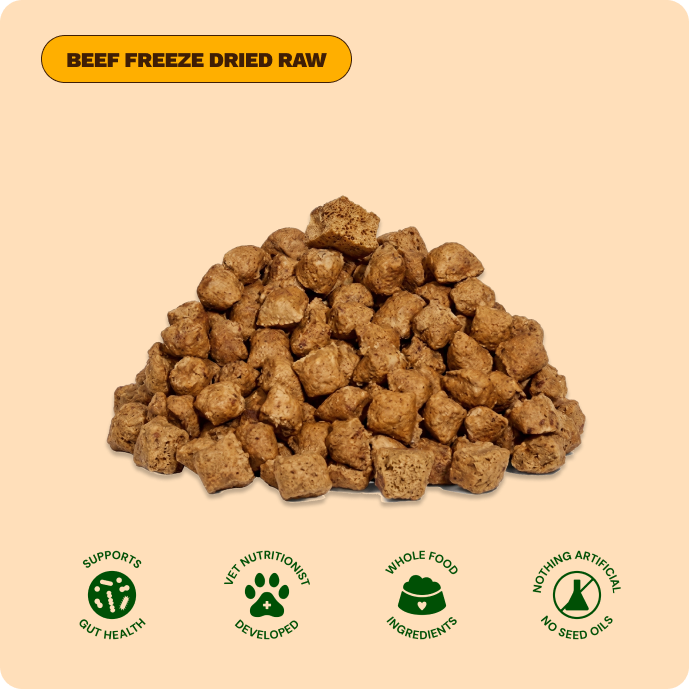 Get Joy Beef Freeze-Dried Raw Meals — included in Senior Essentials Bundle | 