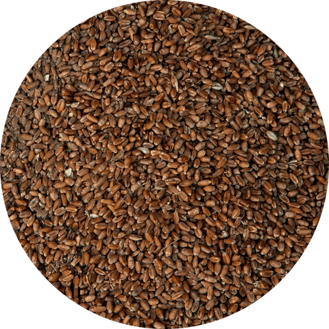 Flaxseed
