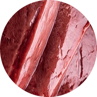 Organ Meat