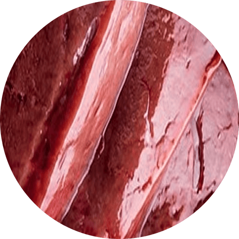 Chicken Organ Meat