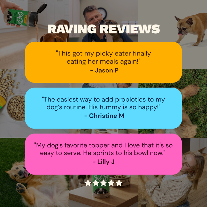 Get Joy Freeze Dried Raw Booster product detail