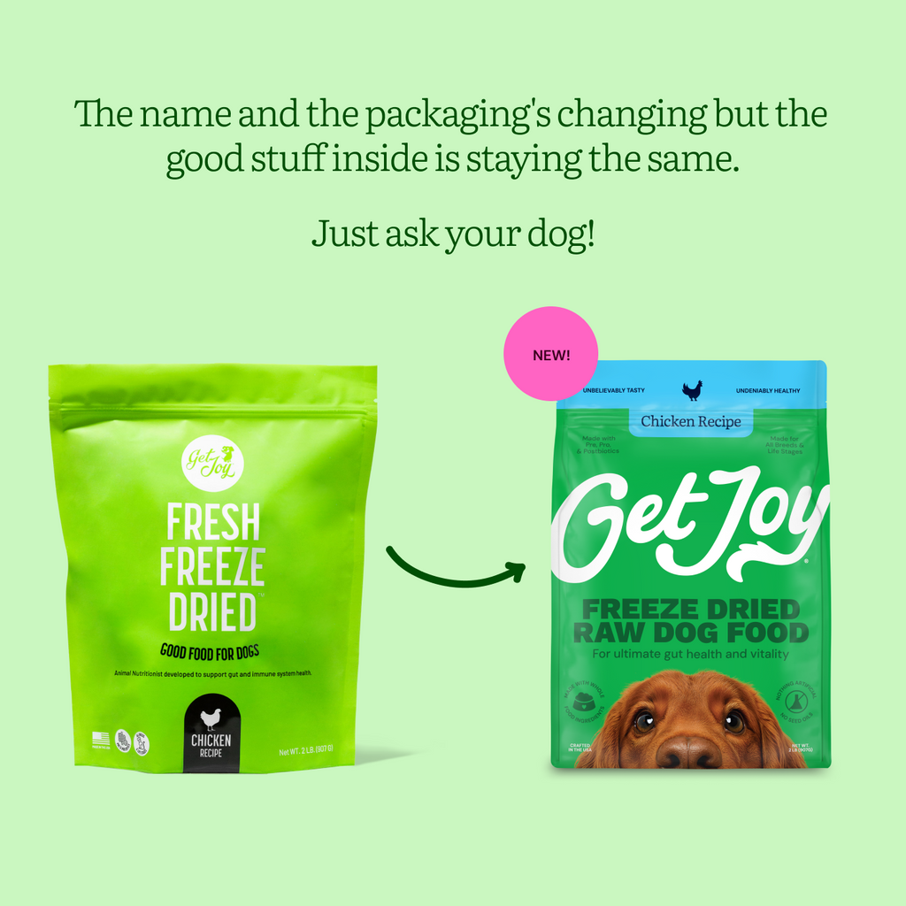 Raw Chicken Diet for Dogs: Boosting Canine Health
