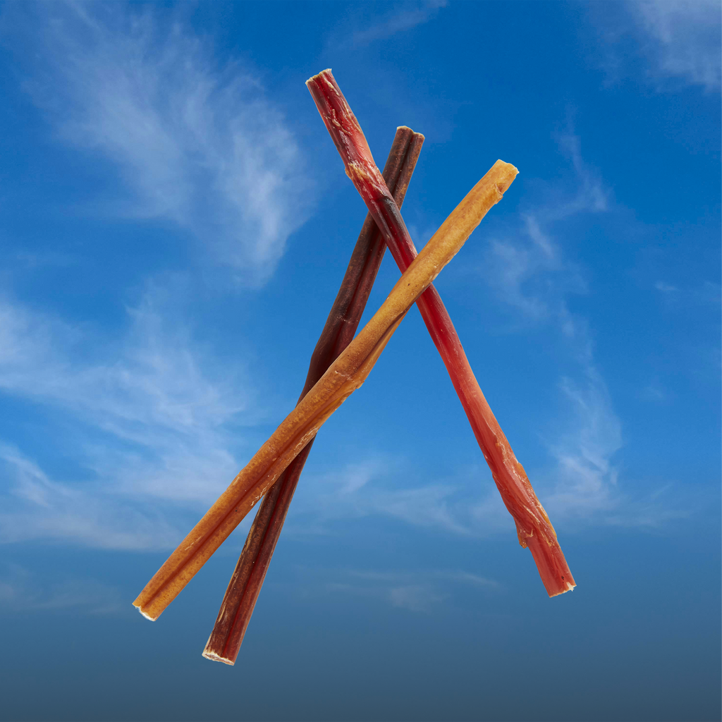 Bully Stick - 12 Inch - Odor Free