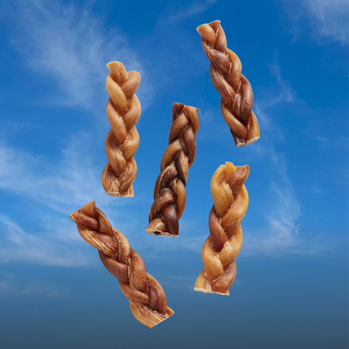 Bully Braid- 6 Inch Braid