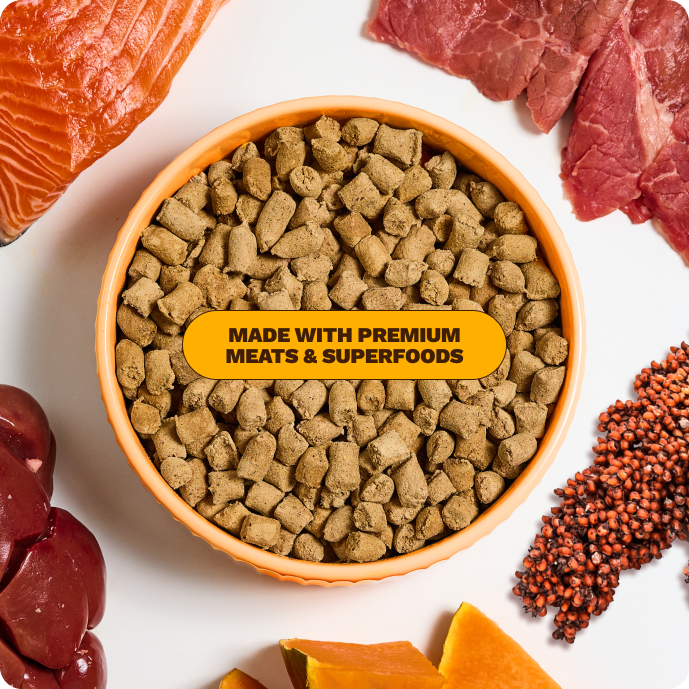 Get Joy Calm Support Bundle Beef — freeze-dried raw meals served in dog bowl | 