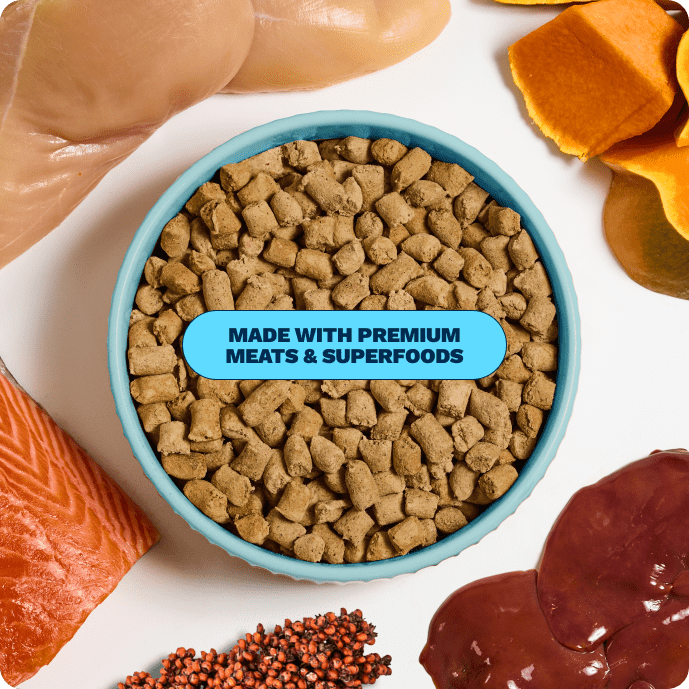 Get Joy Gut Support Bundle Chicken — freeze-dried raw meal with premium meats and superfoods | 