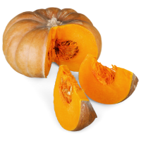 Fresh Freeze Dried Dog Food contains Pumpkin Flower