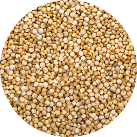 Quinoa