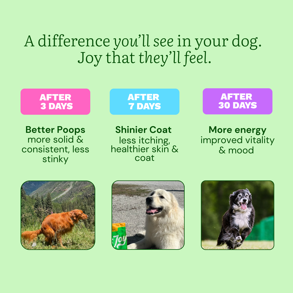 Freeze Dried Raw Meals