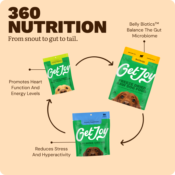 Get Joy Calm Support Bundle daily routine — Beef recipe gut-healthy nutrition for dogs | 