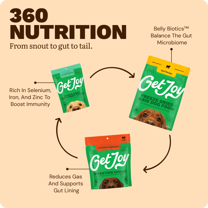 Get Joy Gut Support Bundle daily nutrition routine — Beef recipe with Belly Biotics™ | 