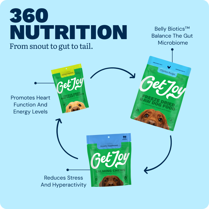 Get Joy Puppy Essentials Bundle daily routine — Chicken recipe gut-healthy puppy nutrition | 
