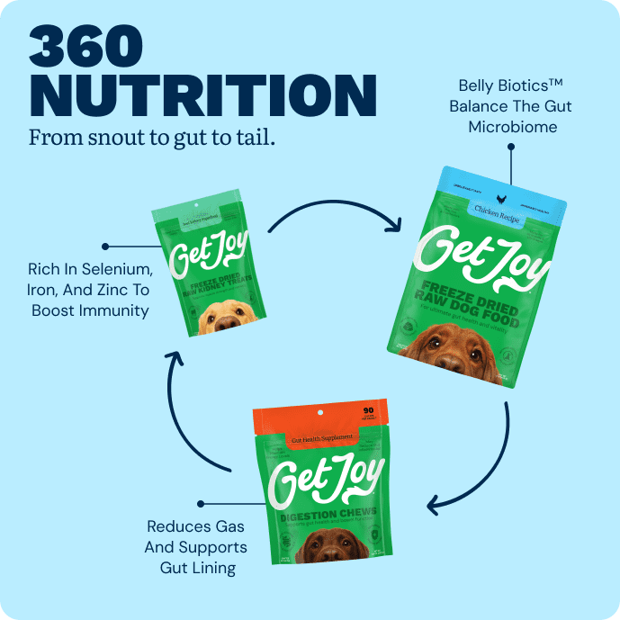 Get Joy Gut Support Bundle daily nutrition routine — Chicken recipe with Belly Biotics™ | 