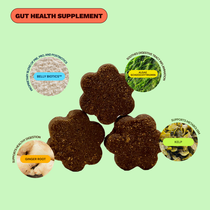 Digestion Chews