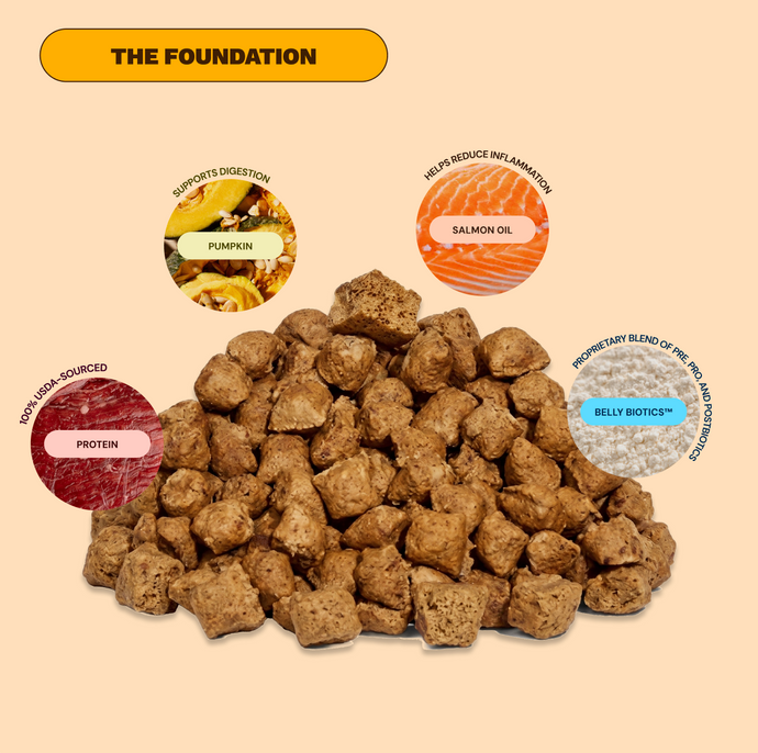 Get Joy Gut Support Bundle Beef — gut health supplement benefits for dogs | 