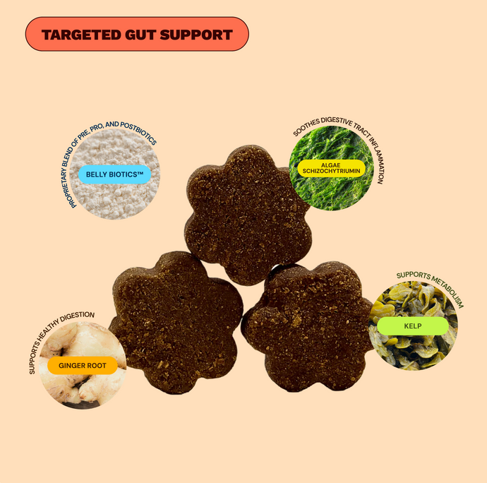Get Joy Gut Support Bundle — Beef Digestion Chews with Belly Biotics™ | 