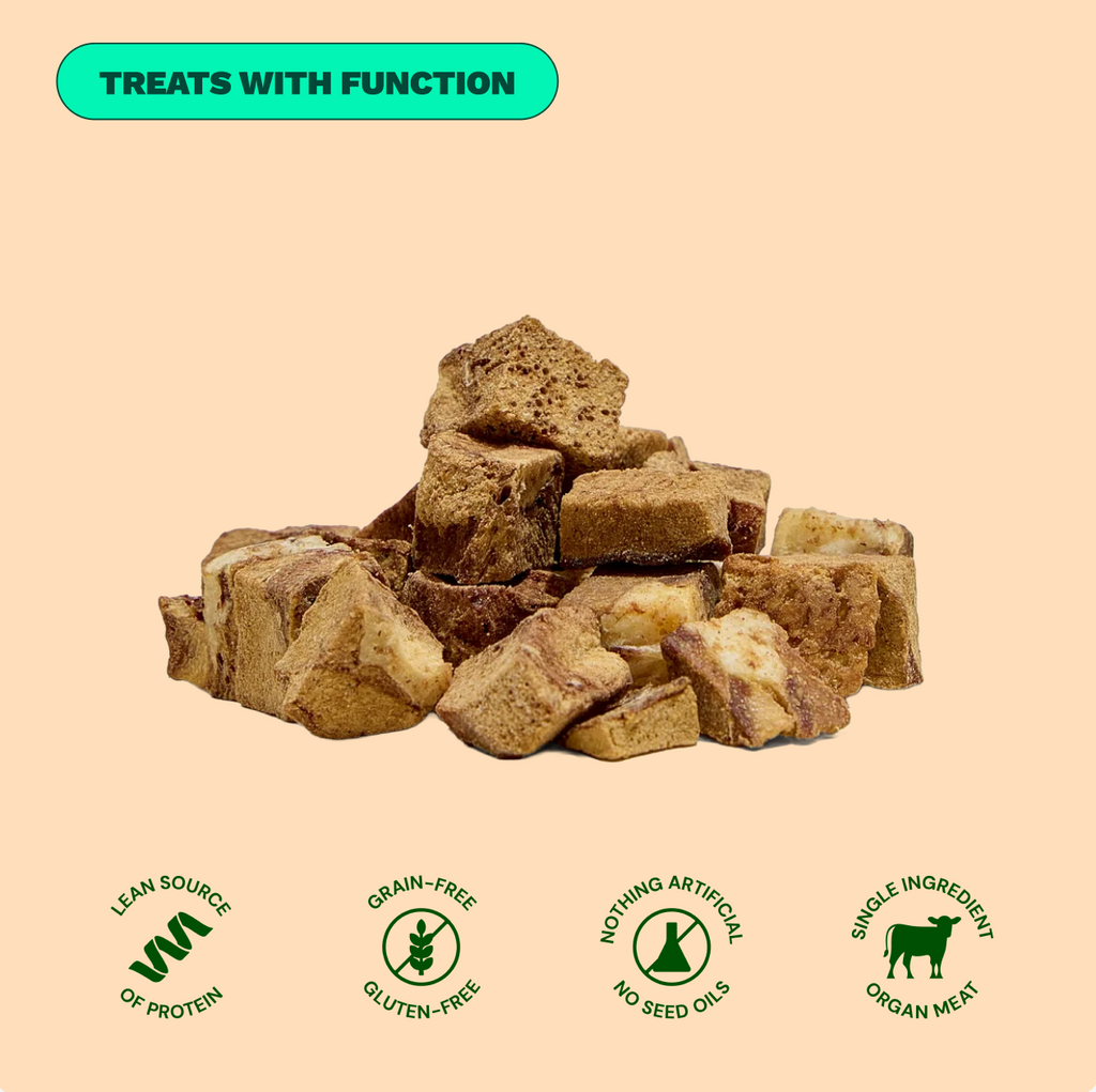 Get Joy Gut Support Bundle Beef — complete gut-healthy dog nutrition | 