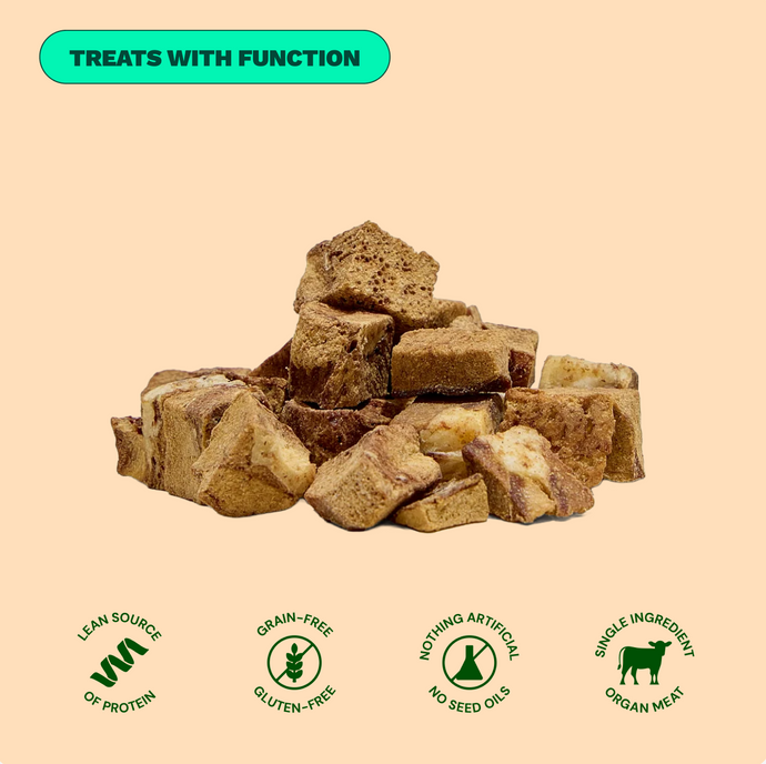 Get Joy Gut Support Bundle Beef — complete gut-healthy dog nutrition | 