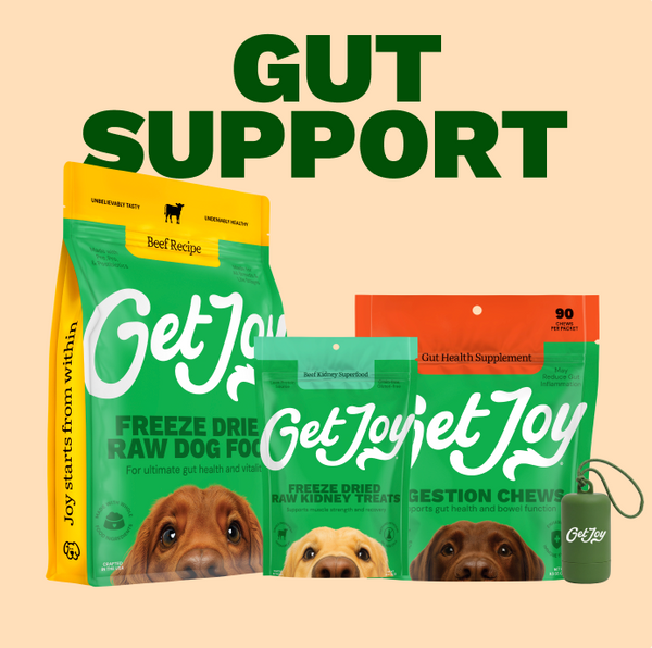 Gut Support Bundle