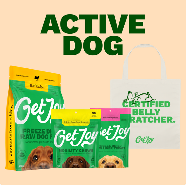 Active Dog Bundle
