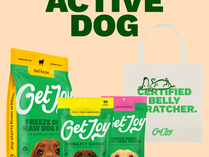 Active Dogs