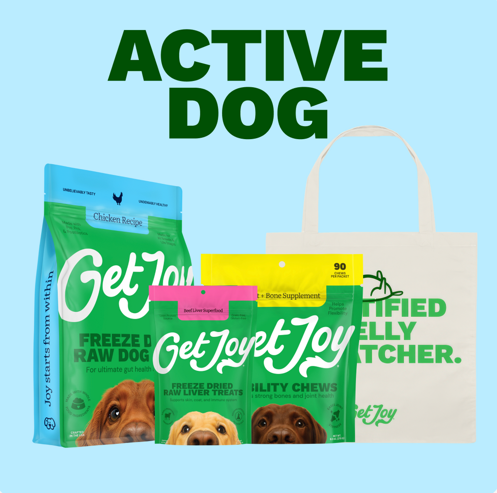 Get Joy Active Dog Bundle — Chicken Freeze-Dried Raw Meals and Superfood Treats | 