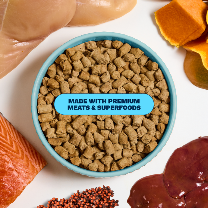 Get Joy Active Dog Bundle Chicken — daily gut-healthy nutrition routine | 