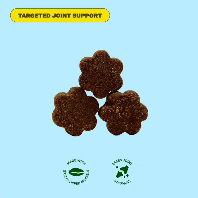 Get Joy Active Dog Bundle — Chicken recipe complete functional nutrition | 