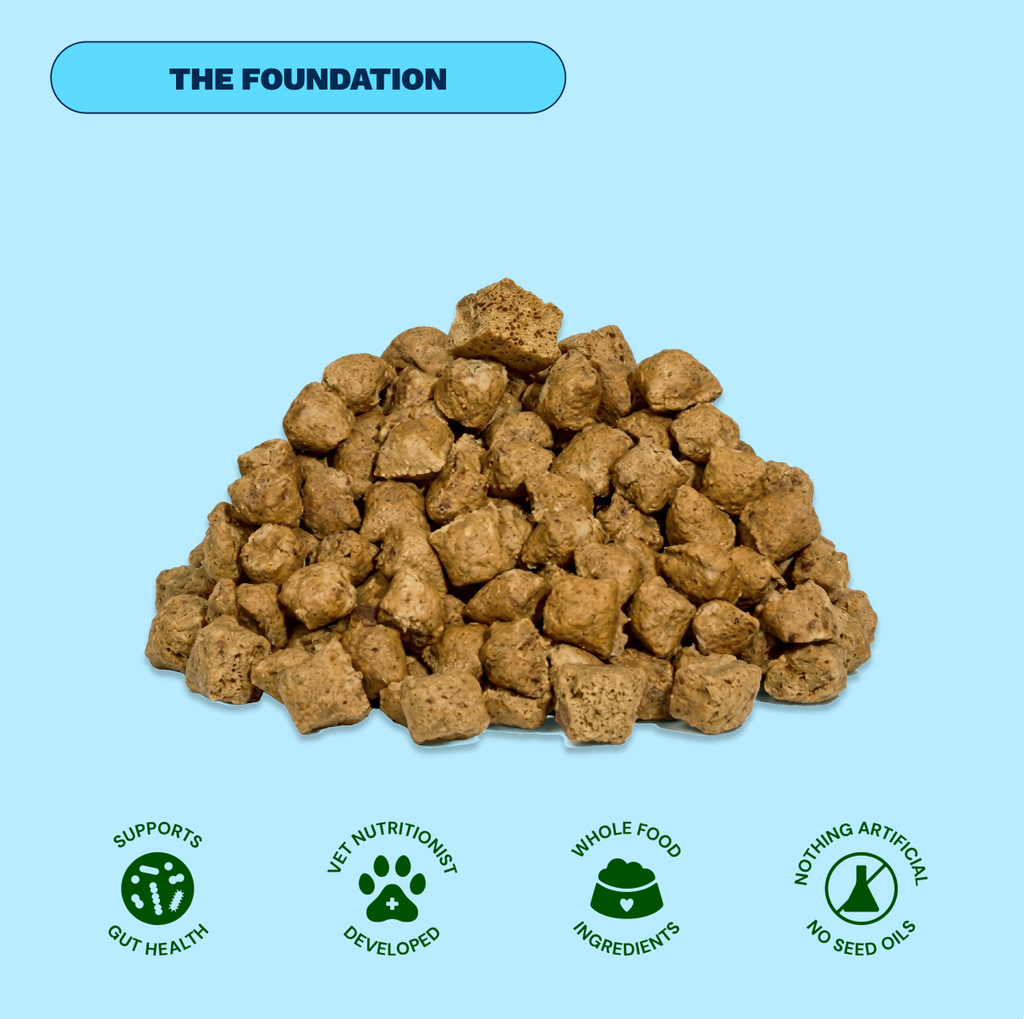Get Joy Active Dog Bundle Chicken — premium freeze-dried raw ingredients | 